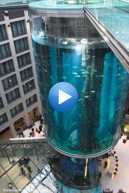 NEW - Burst tank at Sea Life aquarium in Berlin creates waves of devastation.  A 14-meter-high giant aquarium in a luxury hotel in Berlin burst.The AquaDom belongs to a Sea Life in the building.The massive tank was home to more than 1,500 tropical fish over 50 different species.