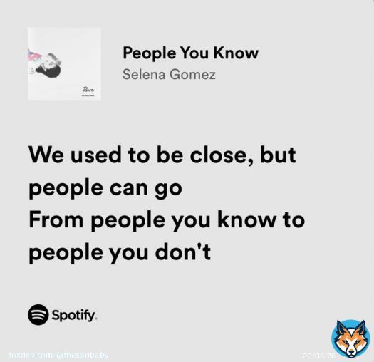 selena gomez / people you know