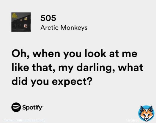 arctic monkeys / 505