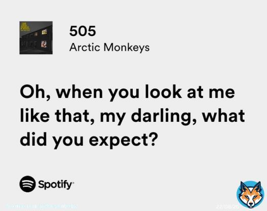 arctic monkeys / 505