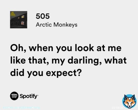 arctic monkeys / 505