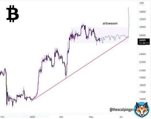 #Bitcoin is dead  #crypto #Altseason