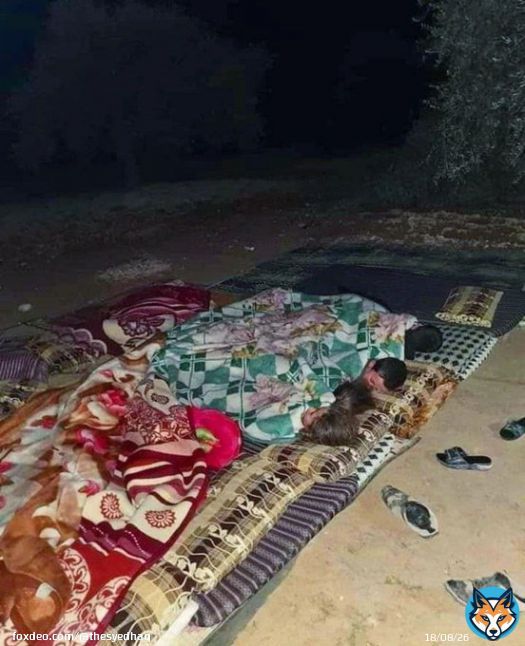 This is how children are sleeping nowadays in Northern Syria. Entire families are on the streets in fear of more earthquakes or because their buildings are too dangerous to live in. #syriaearthquake