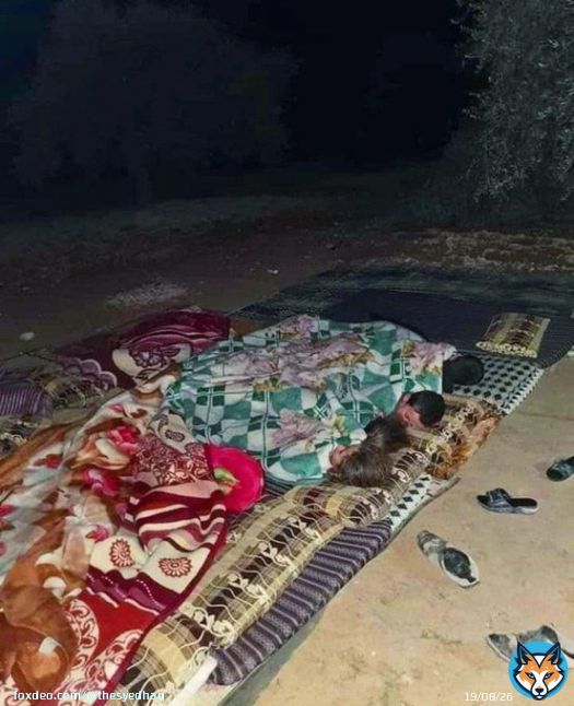 This is how children are sleeping nowadays in Northern Syria. Entire families are on the streets in fear of more earthquakes or because their buildings are too dangerous to live in. #syriaearthquake