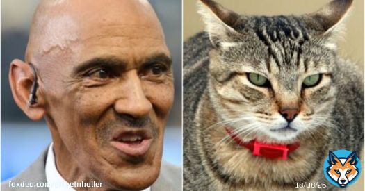 We did not have @Yahoo doing a story on our tweet about @TonyDungy peddling hateful anti- lies on our bingo card today&hellip;