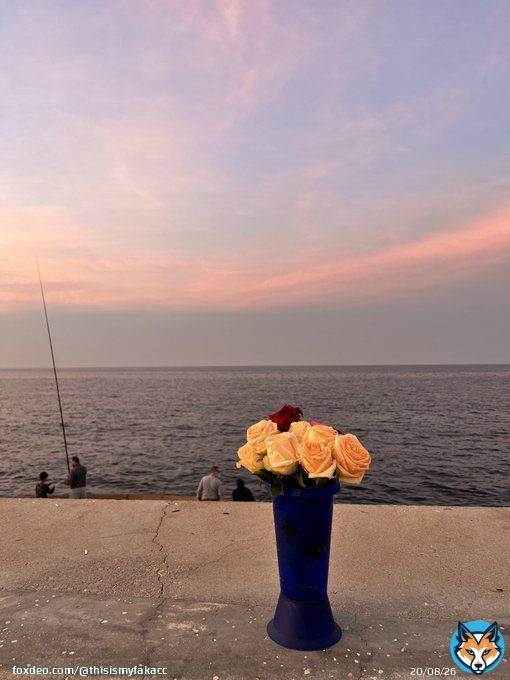 Beirut bathed in pink