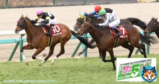 おはようございます  中山競馬場 #弥生賞　回顧  10着\u25ce#ゴッドファーザー 前半1000m通過は61秒0でスローの展開。好発から先頭に立つとリズム良くコーナーを回ってくるが、４コーナー過ぎた辺りから後続が殺到すると残り200m手前で力尽きてしまった  今日も『#何とか成る』精神で頑張ります