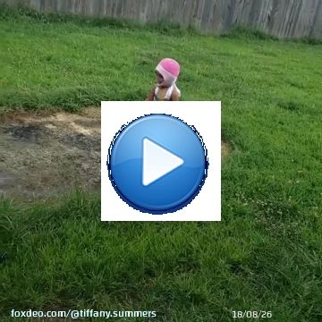 Ignore the lawn mower.  She said that butter flied!!!