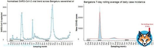 #BangaloreEnvtSurvCOVIDUpdates  The city-wide Bangalore wastewater ???????????????????????????????????????? ???????????????? for SARSCoV2 is around ????????% in the past&nbsp;week, 10th Dec - 15th&nbsp;Dec across 26 STPs.  Realtime #SARSCoV2 viral loslight increase in VL.
