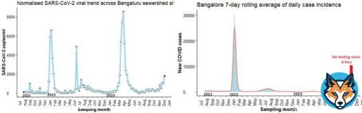 #BangaloreEnvtSurvCOVIDUpdates  The city-wide Bangalore wastewater ???????????????????????????????????????? ???????????????? for SARSCoV2 is around ????????% in the past&nbsp;week, 10th Dec - 15th&nbsp;Dec across 26 STPs.  Realtime #SARSCoV2 viral loslight increase in VL.