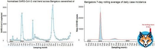 #BangaloreEnvtSurvCOVIDUpdates  The city-wide Bangalore wastewater ???????????????????????????????????????? ???????????????? for SARSCoV2 is around ????????% in the past&nbsp;week, 10th Dec - 15th&nbsp;Dec across 26 STPs.  Realtime #SARSCoV2 viral loslight increase in VL.