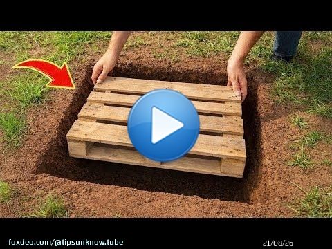 Très peu de gens connaissent cette invention ! Idées de recyclage gratuites pour les palettes et le