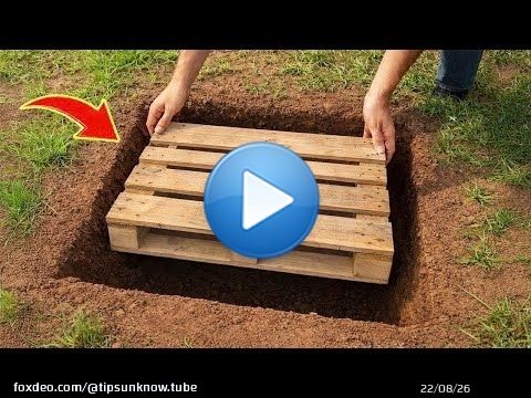 Très peu de gens connaissent cette invention ! Idées de recyclage gratuites pour les palettes et le