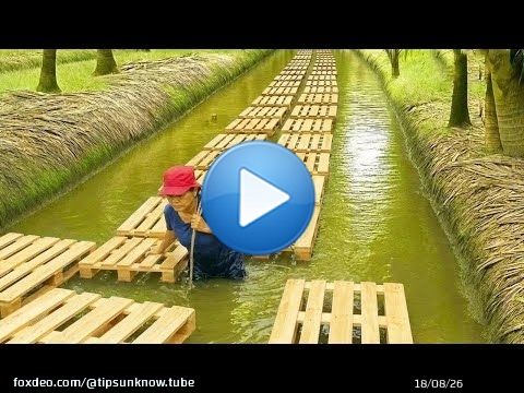 Invention géniale d'un plombier de 60 ans ! 7 idées de recyclage gratuites avec des palettes et du c