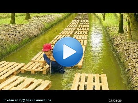 Invention géniale d'un plombier de 60 ans ! 7 idées de recyclage gratuites avec des palettes et du c