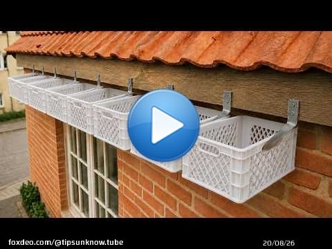Genius Invention By 60-Year-Old Plumber! Endless Free Water Source from Plastic fruit crate/Cement