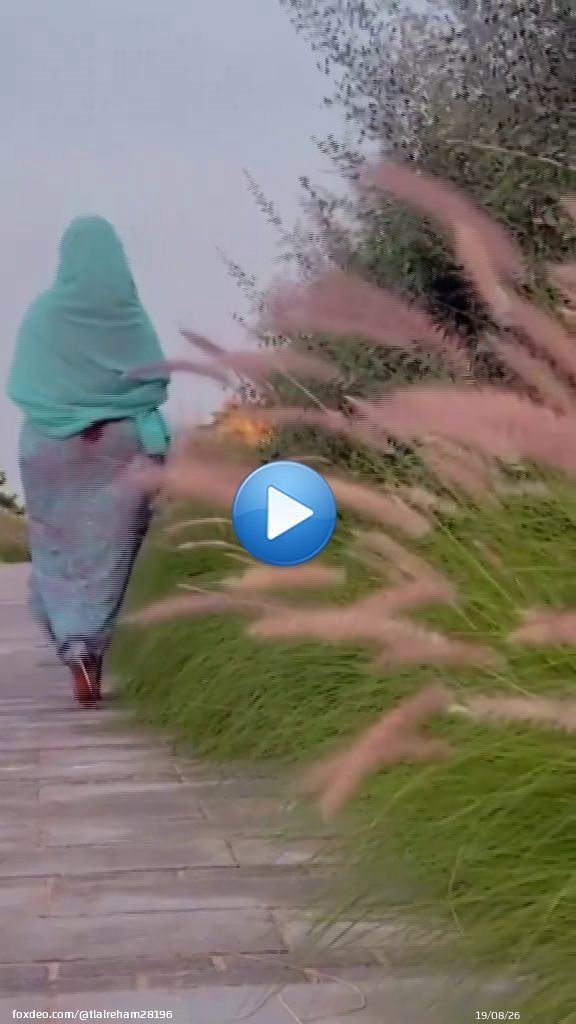 هنا اكتمل جمال الطبيعه مع الجو العليل