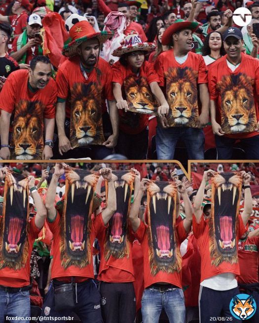 O RUGIDO DOS LE&Otilde;ES!  A torcida do Marrocos &Eacute; A MELHOR e eu posso provar! #TNTSportsNoQatar