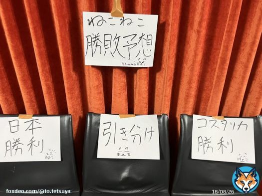 日本vsコスタリカ どうなるかは猫のみぞ知る...!!!  気まぐれすぎて全然乗ってくれません。 #FIFAWorldCup
