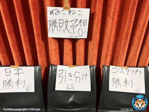 日本vsコスタリカ どうなるかは猫のみぞ知る...!!!  気まぐれすぎて全然乗ってくれません。 #FIFAWorldCup