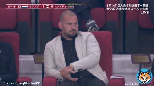 オランダ-エクアドル 1-0  スナイデル「太ったなぁ」 ダービッツ「かっけぇわ」