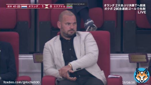 オランダ-エクアドル 1-0  スナイデル「太ったなぁ」 ダービッツ「かっけぇわ」