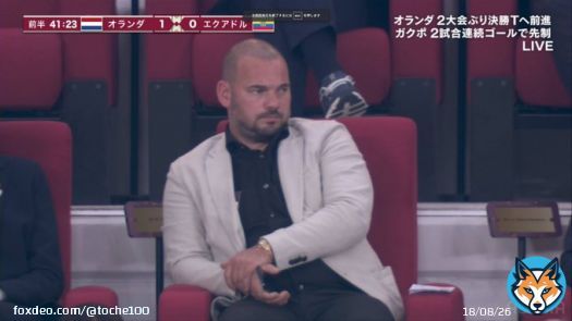 オランダ-エクアドル 1-0  スナイデル「太ったなぁ」 ダービッツ「かっけぇわ」