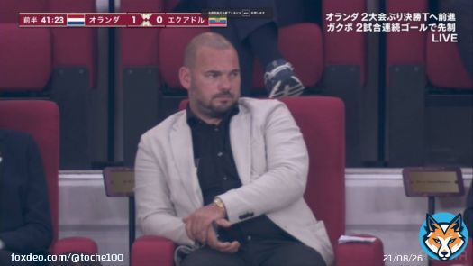 オランダ-エクアドル 1-0  スナイデル「太ったなぁ」 ダービッツ「かっけぇわ」