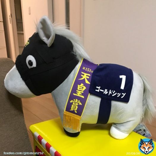 おはようございます土曜日はクロッカスSのみ馬券買いましたが\u25ceブーケファロスが最下位で開いた口が塞がりませんでした&hellip; そして今日は両重賞で勝負いつもの穴狙いです楽しんで参りましょう  シルクロードS \u2460シャインガーネット  根岸S \u2463セキフウ