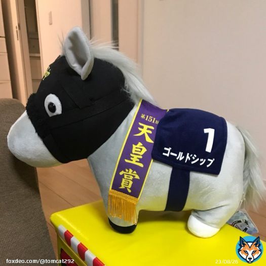 おはようございます土曜日はクロッカスSのみ馬券買いましたが\u25ceブーケファロスが最下位で開いた口が塞がりませんでした&hellip; そして今日は両重賞で勝負いつもの穴狙いです楽しんで参りましょう  シルクロードS \u2460シャインガーネット  根岸S \u2463セキフウ