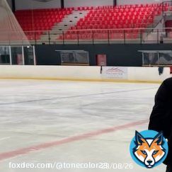 ステファンプロを それはそれは楽しそうに 生き生きと滑りこなす知子ちゃんを見て 驚いて思わず座って見入る 動画23秒目くらいの ステファンが特に好きです  夏の感謝祭のときに ステファン尊敬しすぎて自ら変態発言してた 可愛すぎる知子ちゃんを思い出す  #宮原知子