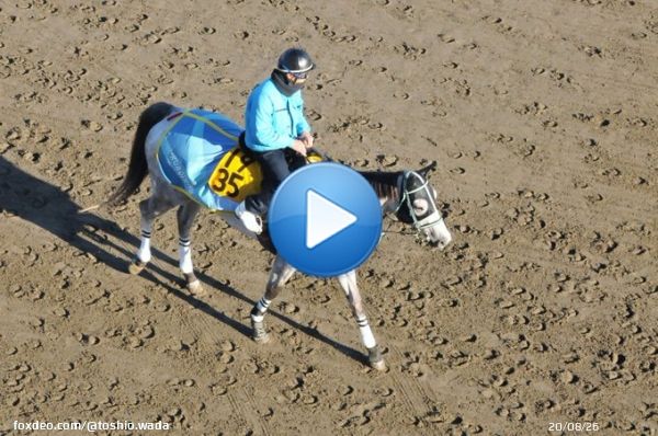 本日、中京11Rに登場します みんな大好き、リフレイムさん まずは全人馬が無事に&hellip; #リフレイム  #黒岩陽一厩舎  #野中悠太郎騎手 #コールドムーンステークス