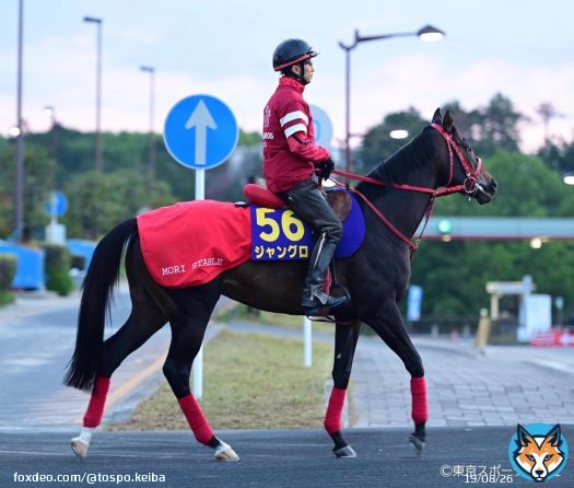 【 #ＮＨＫマイルカップ 】「 #ウマ娘 」 #藤田晋 オーナーに初のＧⅠを！　３連勝中の #ジャングロ がウイニングライブへ突き進む   #武豊 #POG  #東スポ競馬 #競馬