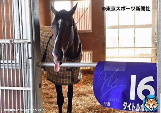 へへへ \ud83d\ude1d  #タイトルホルダー #天皇賞春 #東スポ競馬 #競馬