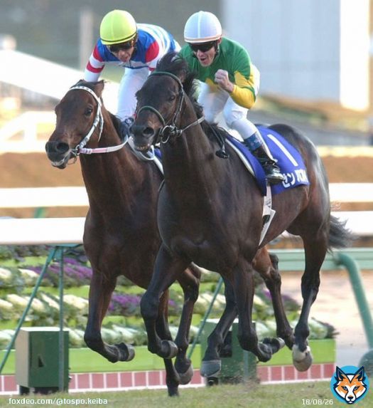 #ゼンノロブロイ 死す　０４年に秋の古馬ＧⅠ３連勝「苦しむこともなくスッとこの世に別れ&hellip;ロブロイらしいカッコよさ」   #東スポ競馬 #競馬