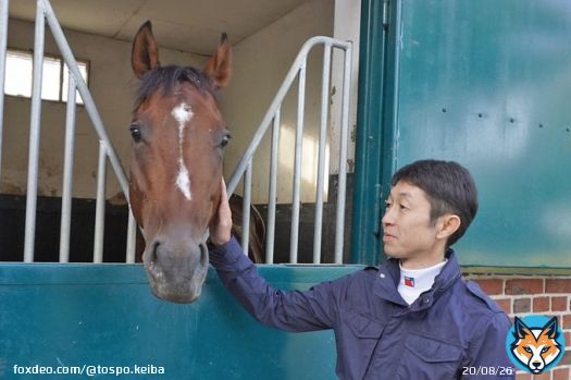 【 ニエル賞】#ドウデュース の追い切りに #武豊 「１００％の仕上がりではないかもしれませんが、走ってくれそうです」   ※写真は平松さとし氏ご提供 #東スポ競馬 #競馬