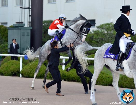 いざ #菊花賞  おはようございます  #ゴールドシップ #東スポ競馬 #競馬