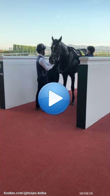 #阪神競馬場 のメインレース #アンドロメダS は #マテンロウレオ  おめでとうございます  #東スポ競馬 #競馬0:025,985 views