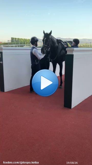 #阪神競馬場 のメインレース #アンドロメダS は #マテンロウレオ  おめでとうございます  #東スポ競馬 #競馬0:025,985 views