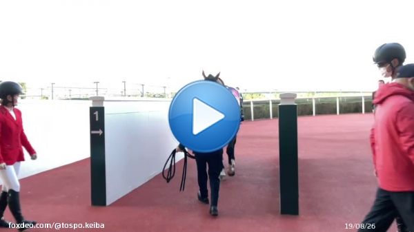 #阪神競馬場 のメインレース #チャレンジカップ は #ソーヴァリアント   おめでとうございます  #東スポ競馬 #競馬