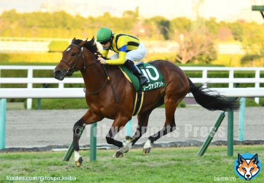 【 #チャレンジカップ 】大器 #ソーヴァリアント が連覇　ルメール絶賛「ＧⅠにいける馬」   #東スポ競馬 #競馬