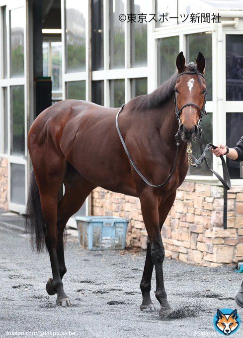 #阪神JF は #リバティアイランド   おめでとうございます  #東スポ競馬 #競馬 #POG