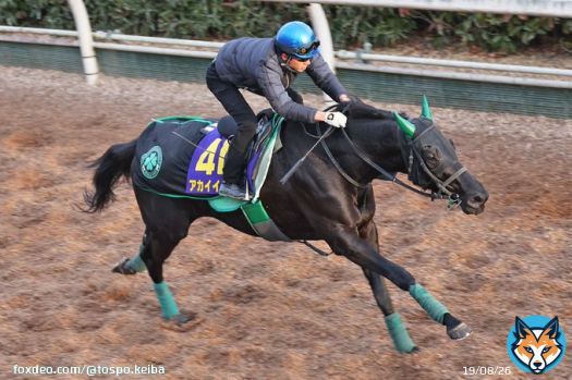 【 #有馬記念 追い切り】「去年と比べてもいい状態」　幸も太鼓判！ #アカイイト は力強く加速し坂路５１・８秒   #東スポ競馬 #競馬