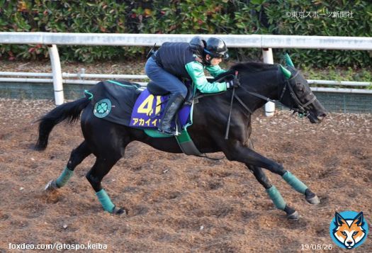 ３時の #アカイイト   #有馬記念 #東スポ競馬 #競馬
