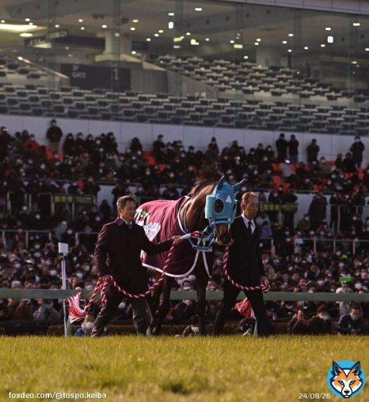 #オジュウチョウサン 引退式　相棒の石神が最後の別れ「最高のパートナーでした」   #中山大障害 #中山競馬場　 #東スポ競馬 #競馬