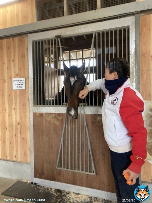 口元にご飯ついてるよ  #ミッキーカプチーノ #ホープフルS  #東スポ競馬 #競馬 #POG