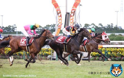 【 #日経新春杯 】#ヴェルトライゼンデ が快勝　ＪＲＡ重賞初Ｖのイーガン「馬のハートもガッツもすごくある」   #中京競馬場　 #東スポ競馬 #競馬