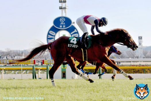 【 #ダイヤモンドS 】#ミクソロジー が４連勝で重賞初制覇　レコードタイムのおまけつき   #東スポ競馬 #競馬
