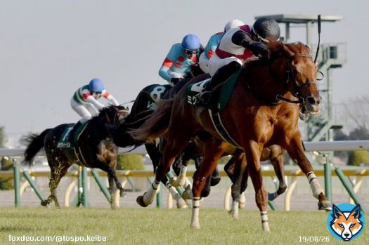 【 #ダイヤモンドS 結果＆コメント】１３番人気 #ヒュミドール が２着激走　田辺「いい位置でタメられました」   #東スポ競馬 #競馬