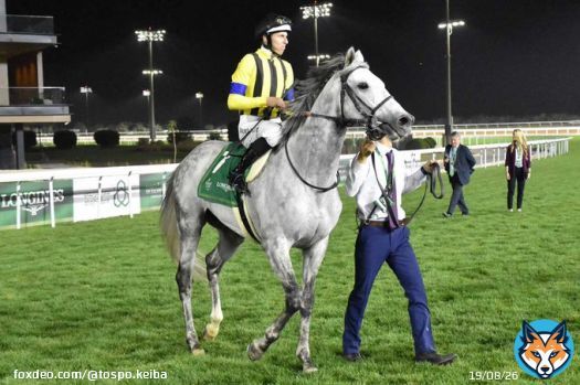【次走報】サウジＧⅢを勝った #シルヴァーソニック は天皇賞・春を目標　タイトルホルダー、アスクビクターモアと激突へ   #東スポ競馬 #競馬